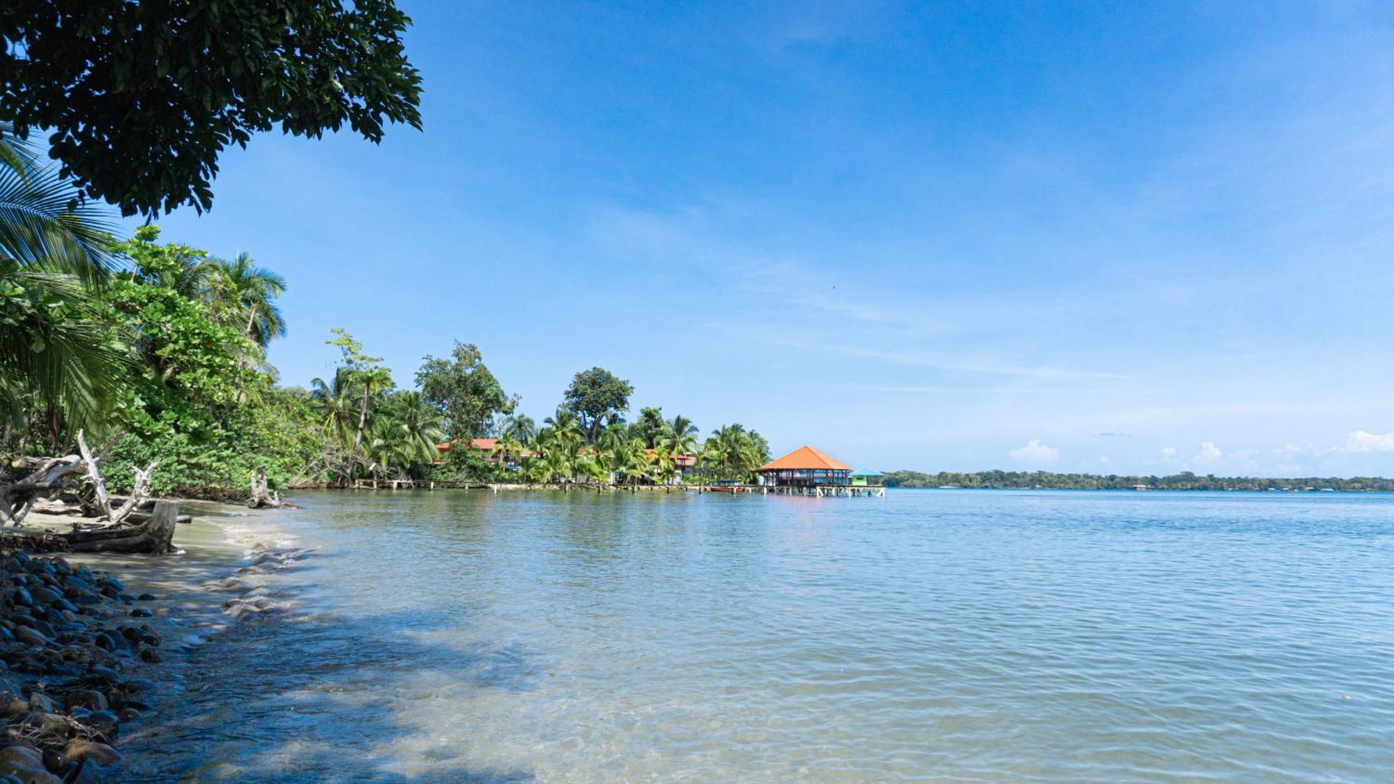 Bocas Garden Lodges Bocas Town Bagian luar foto