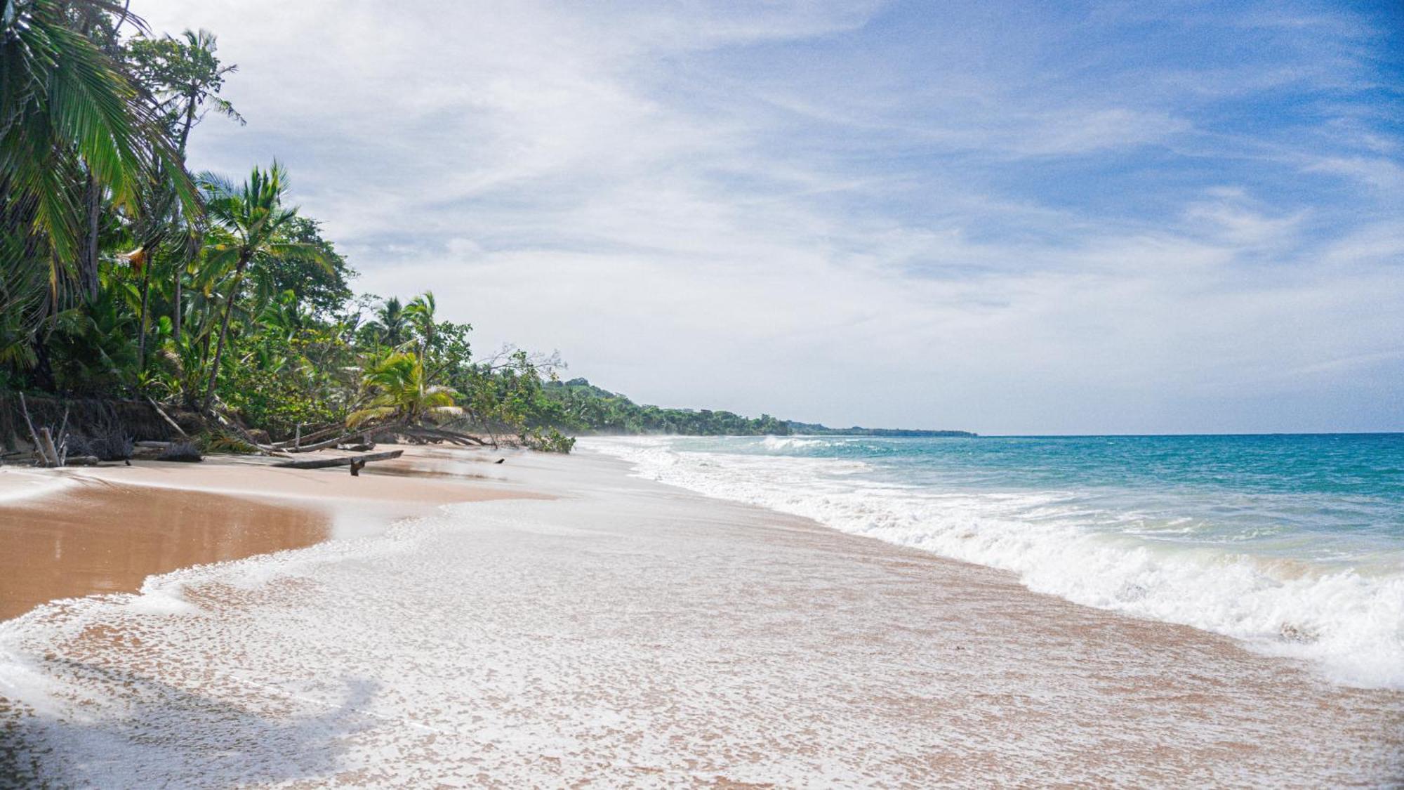 Bocas Garden Lodges Bocas Town Bagian luar foto