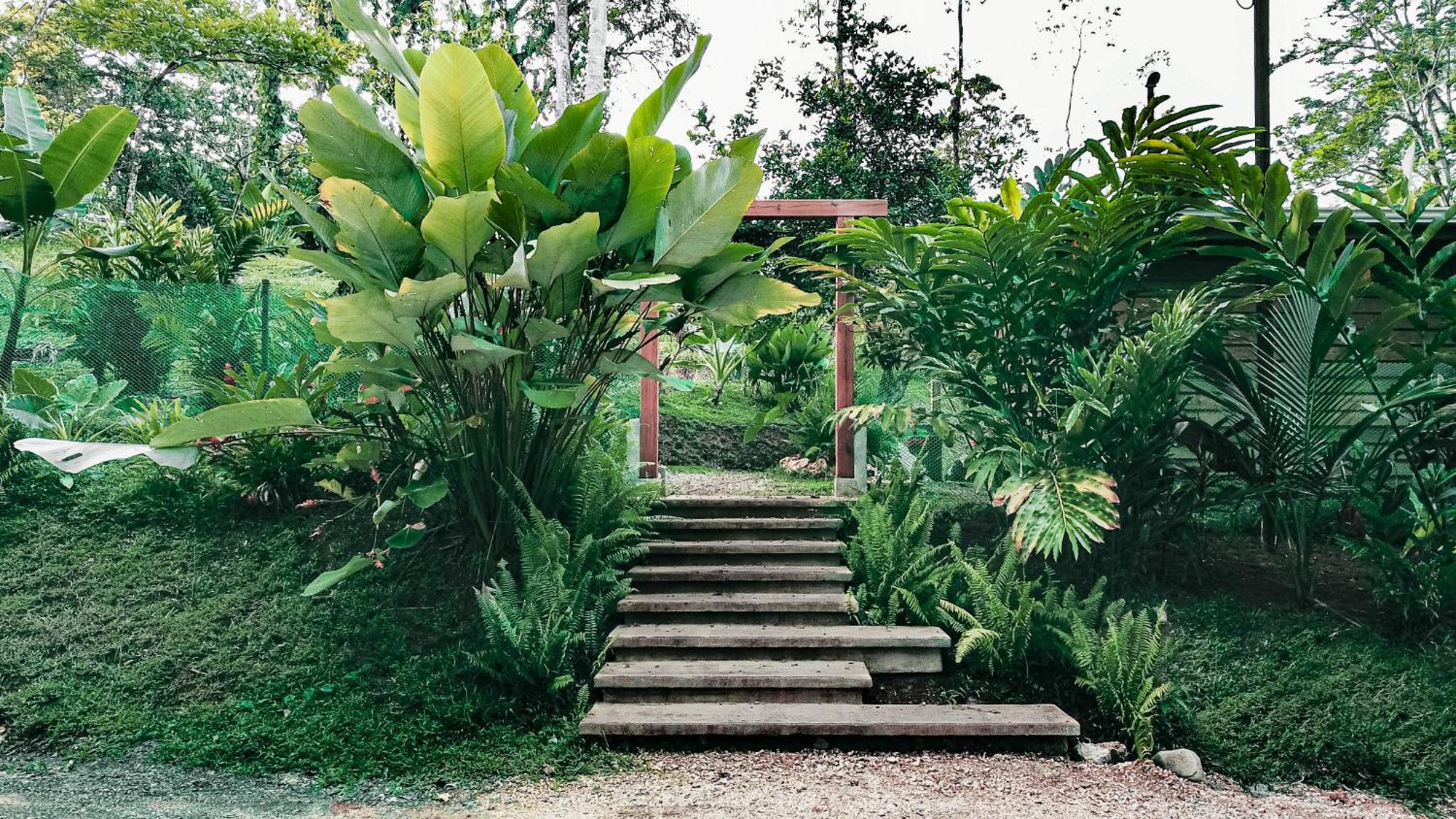 Bocas Garden Lodges Bocas Town Bagian luar foto