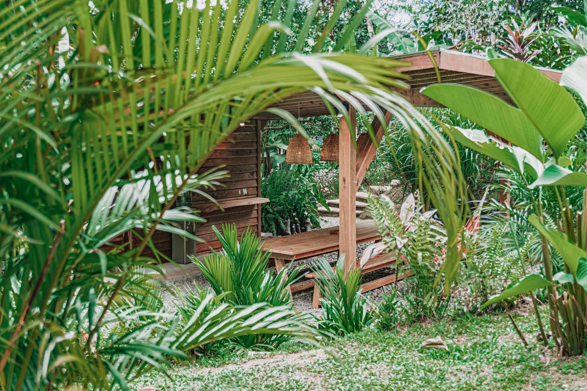 Bocas Garden Lodges Bocas Town Bagian luar foto