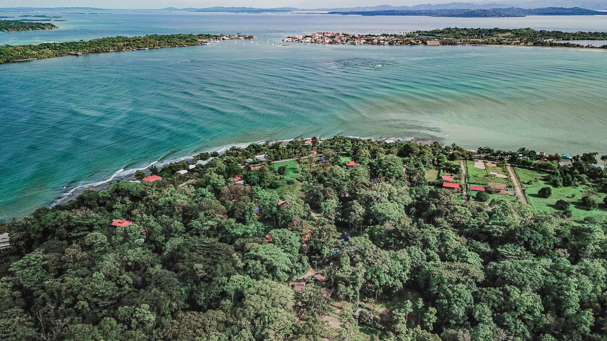 Bocas Garden Lodges Bocas Town Bagian luar foto