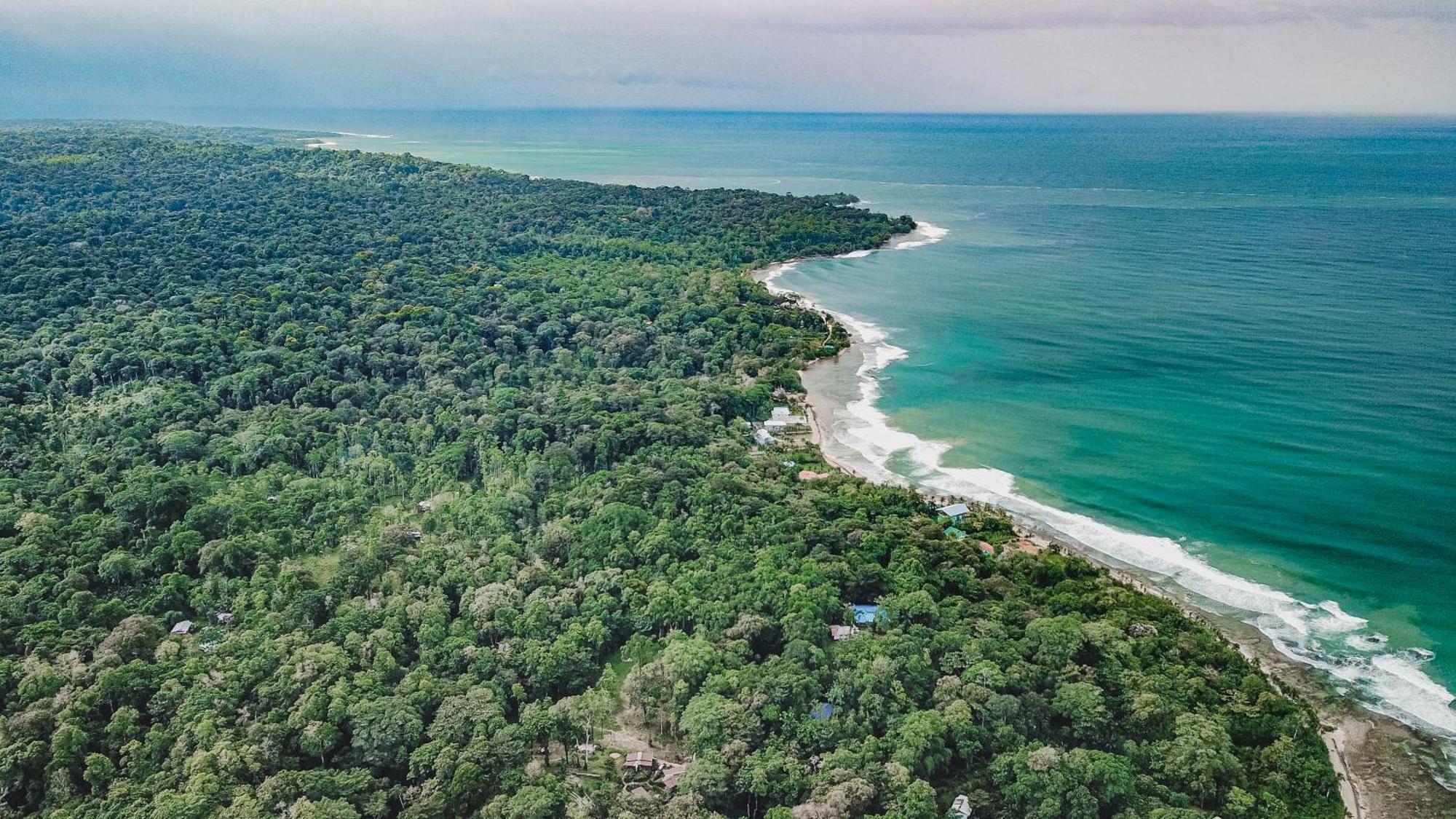 Bocas Garden Lodges Bocas Town Bagian luar foto